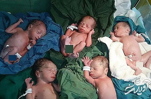 یک پسر می‌خواستیم حالا ۵ تا داریم